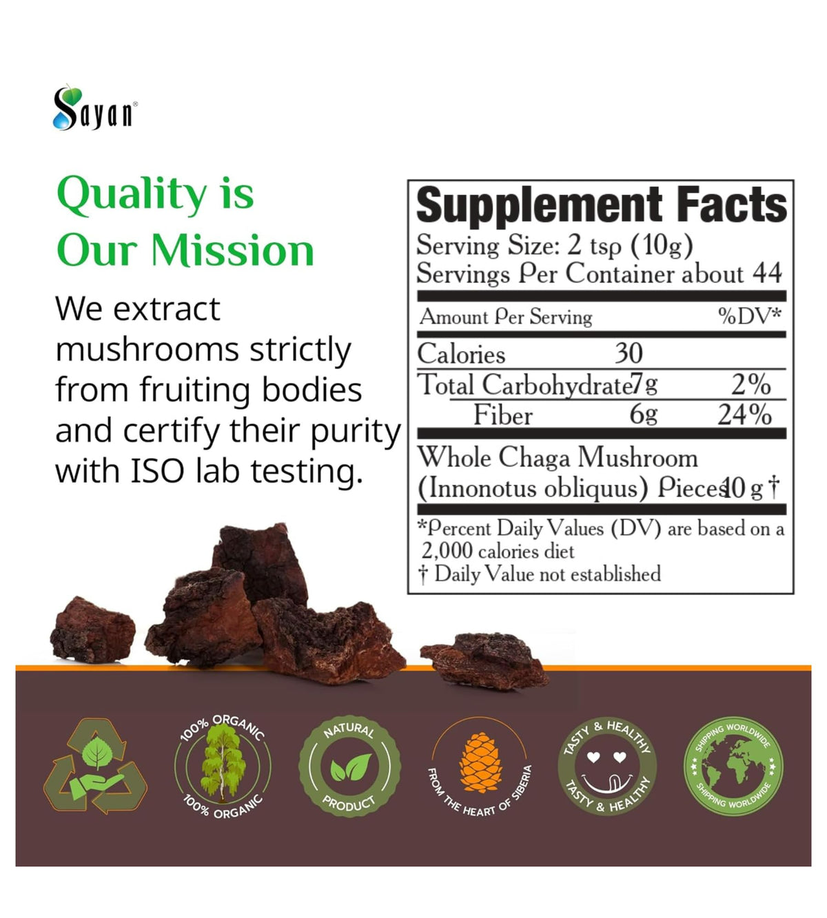 Morceaux de Chaga Sayan dans un environnement naturel
