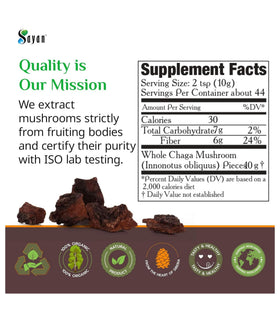 Morceaux de Chaga Sayan dans un environnement naturel