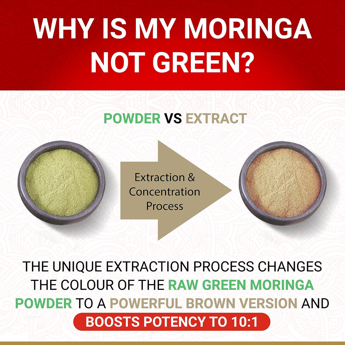 Moringa Bio en capsules avec un verre d'eau