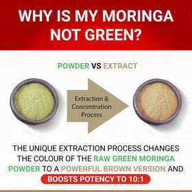 Moringa Bio en capsules avec un verre d'eau