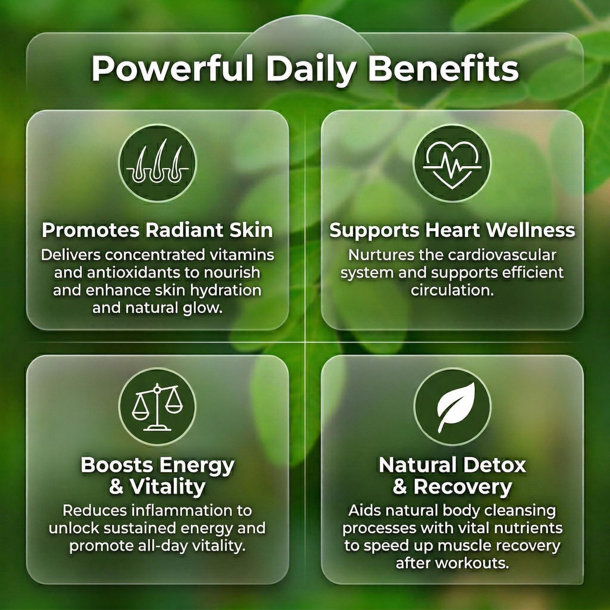 Moringa DOBI sur un fond naturel