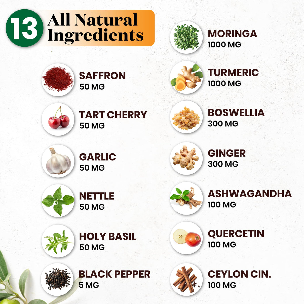 Moringa et Curcuma Superfood MD sur fond blanc