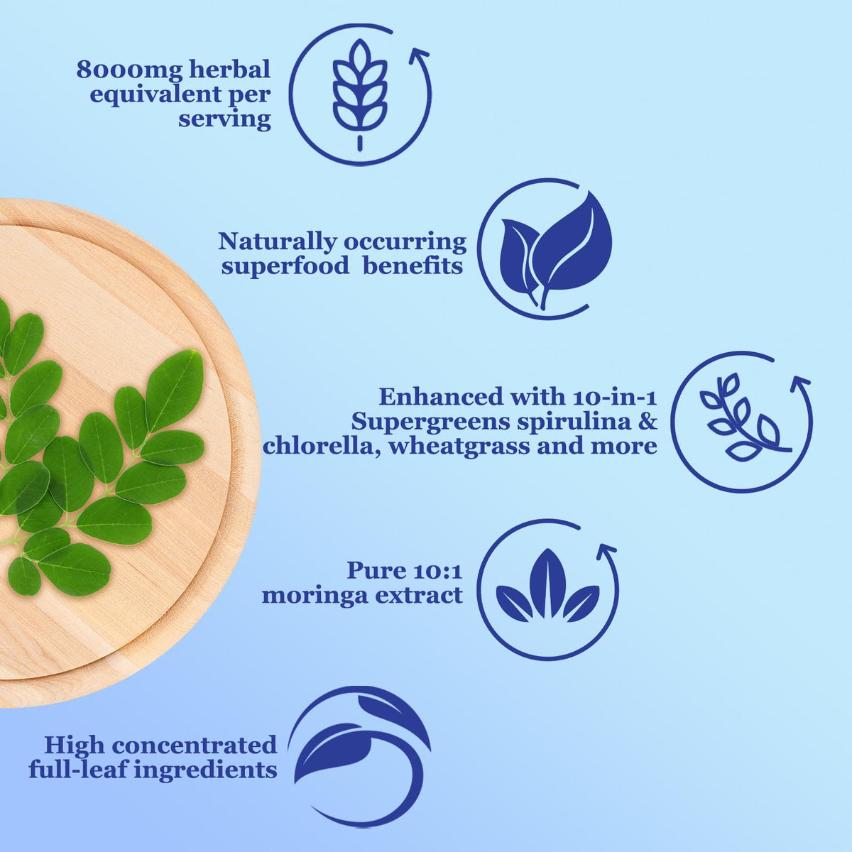 Moringa liquide 10:1 avec mélange de super-aliments