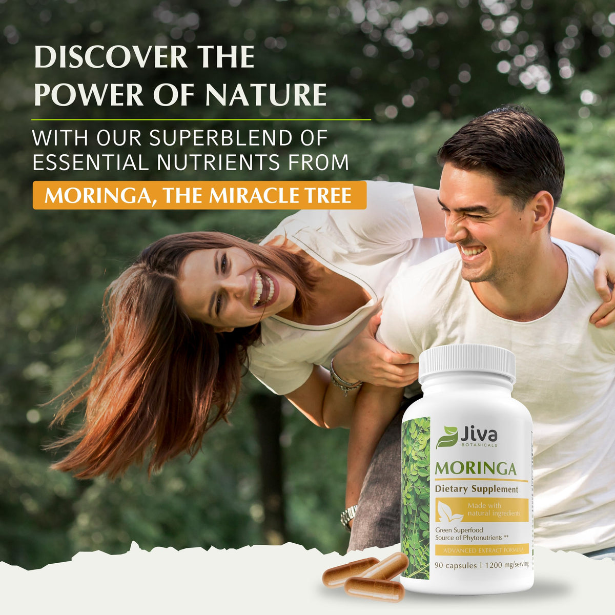 Moringa Oleifera en poudre dans un bol