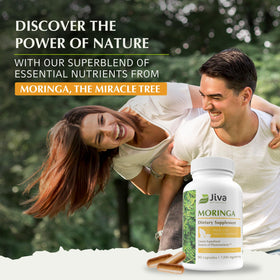 Moringa Oleifera en poudre dans un bol