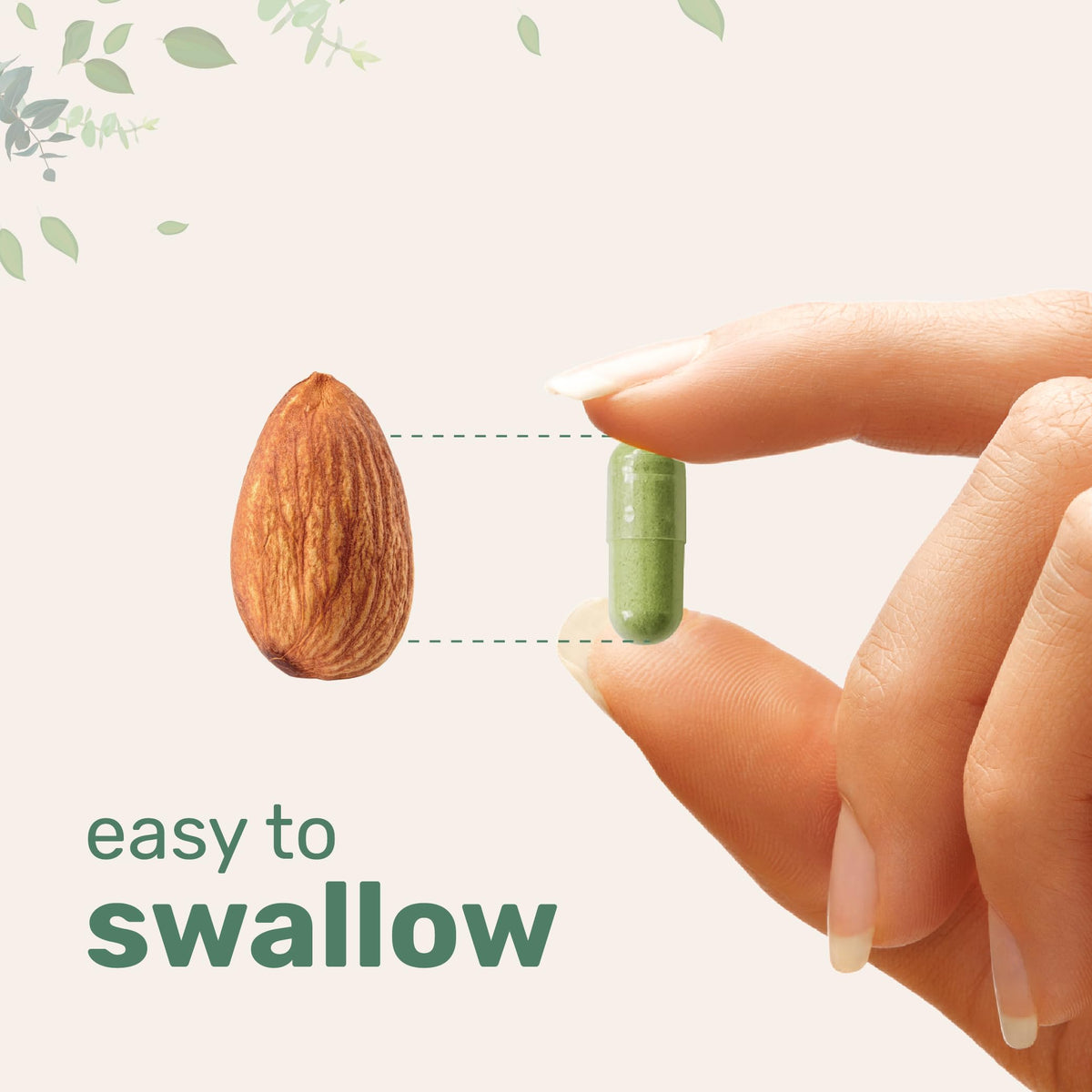 Moringa Oleifera Micro Ingredients avec mélange de super-algues