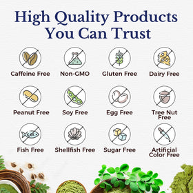 Moringa Vitalitown, vue de l'arrière de la bouteille
