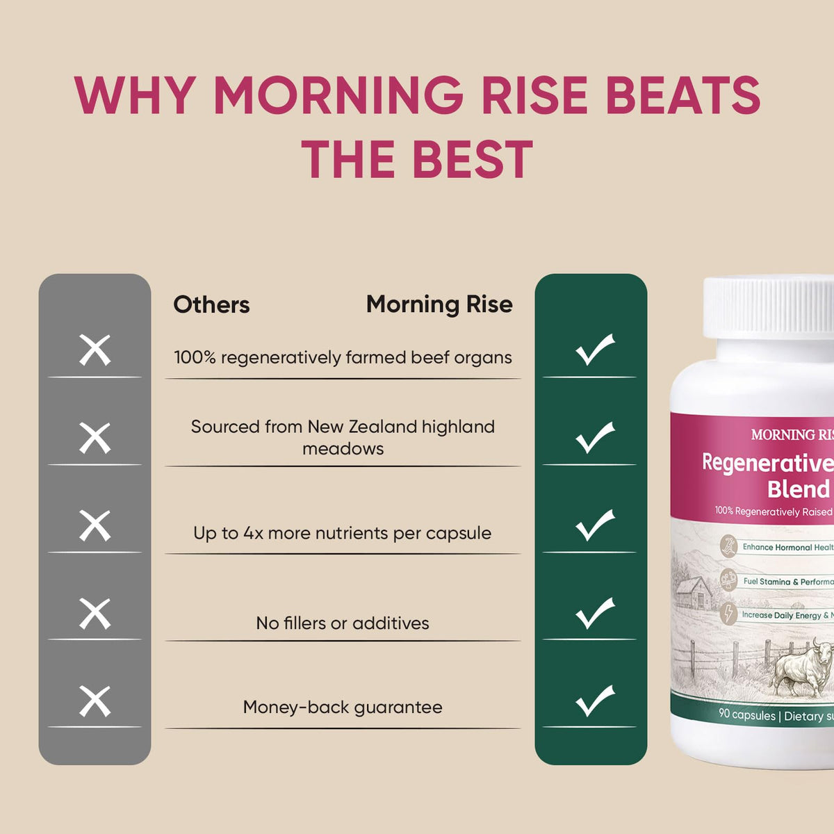 MORNING RISE Capsules d'Organes de Boeuf - capsules sur une table