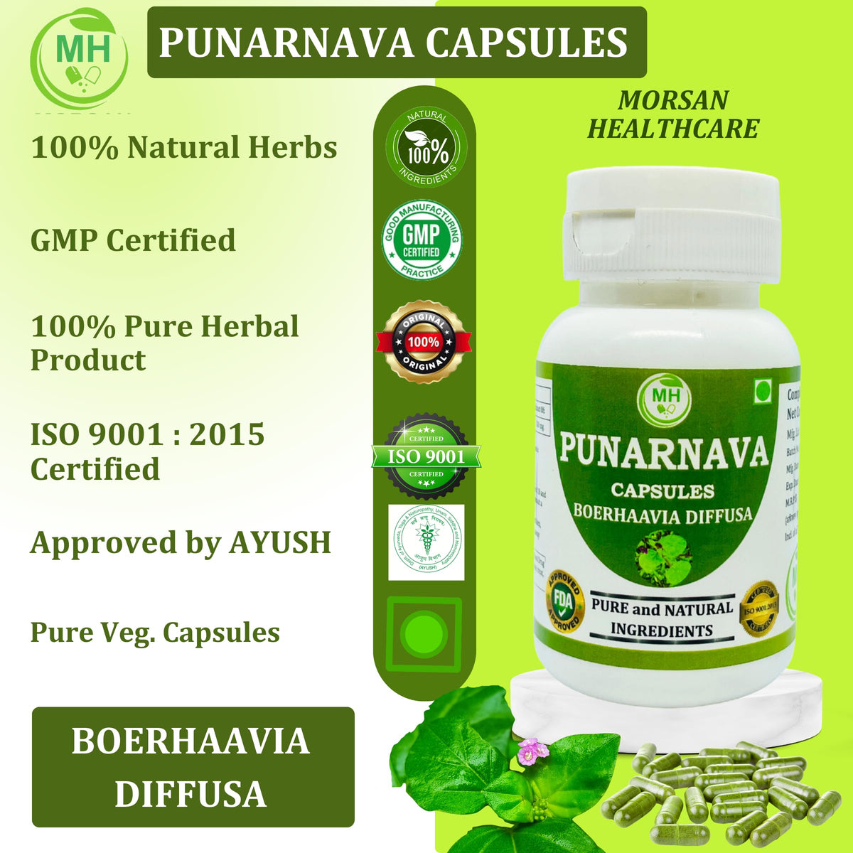 Morsan Healthcare Punarnava Capsules 500mg avec des ingrédients naturels