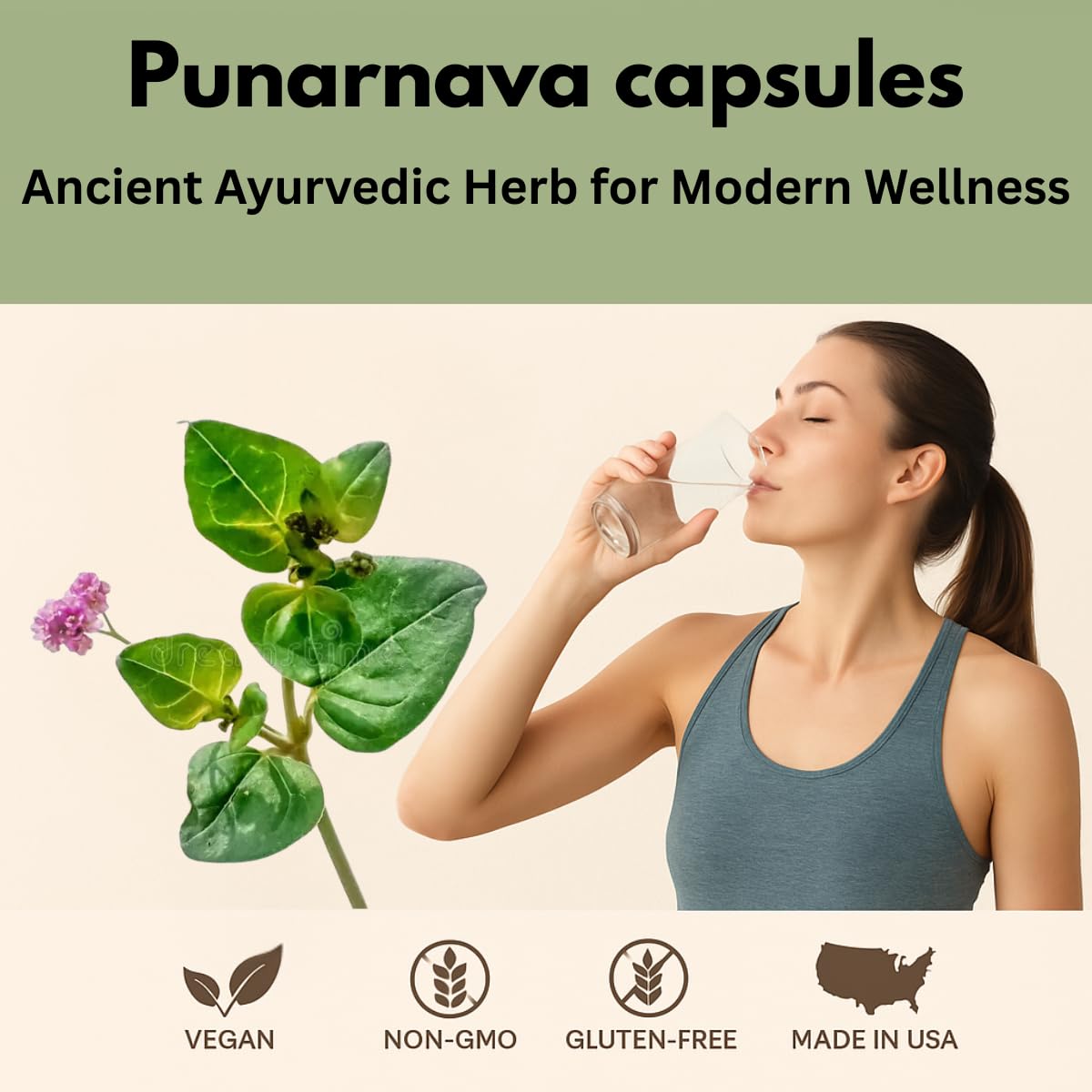 Morsan Healthcare Punarnava Capsules 500mg côté