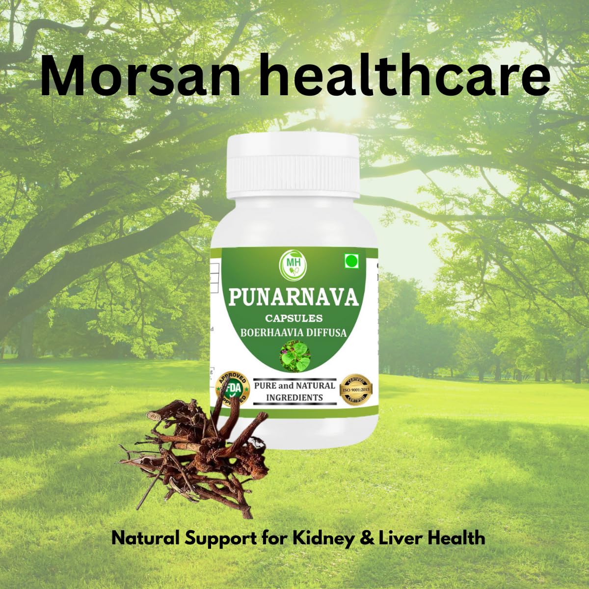 Morsan Healthcare Punarnava Capsules 500mg sur une table