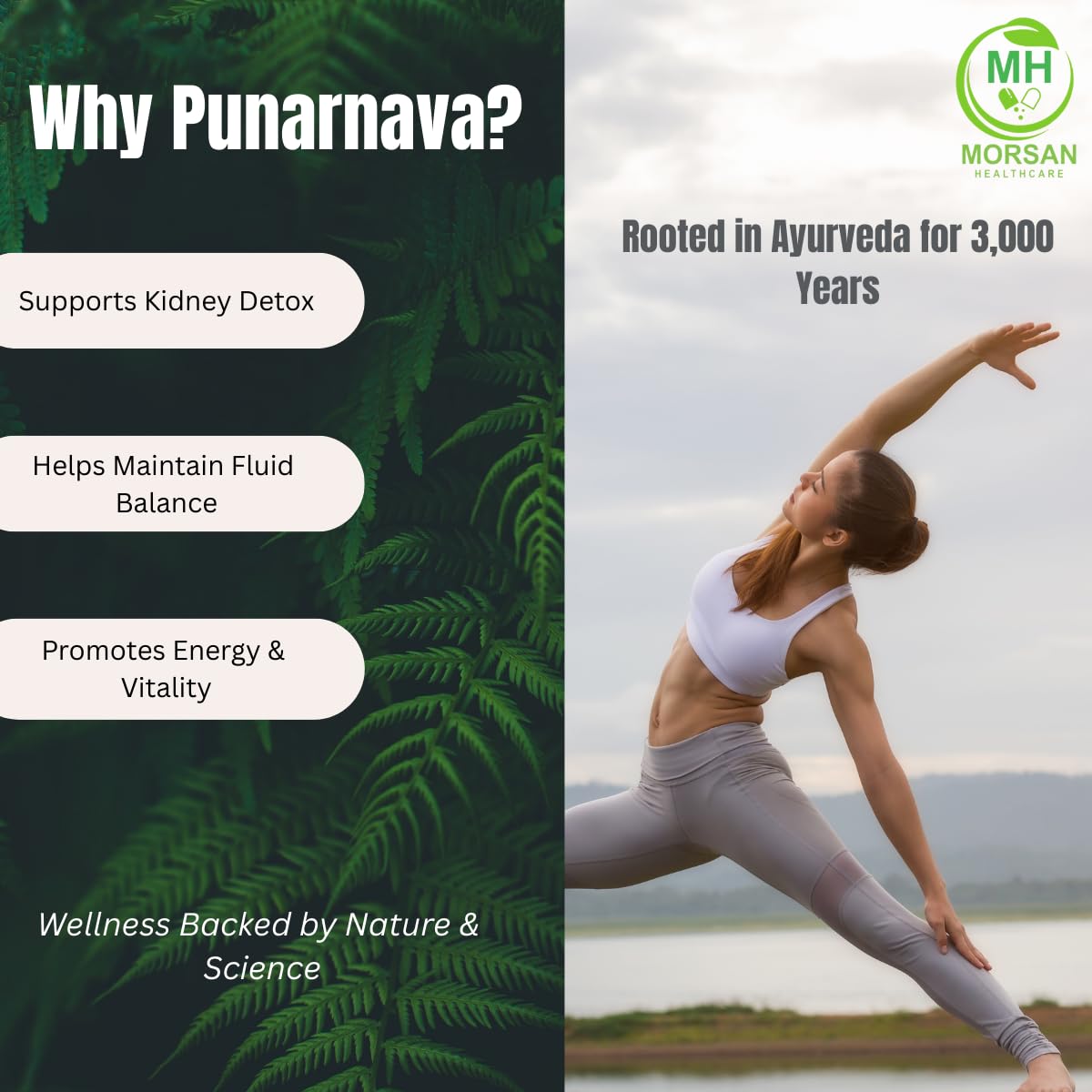 Morsan Healthcare Punarnava Capsules 500mg vue arrière
