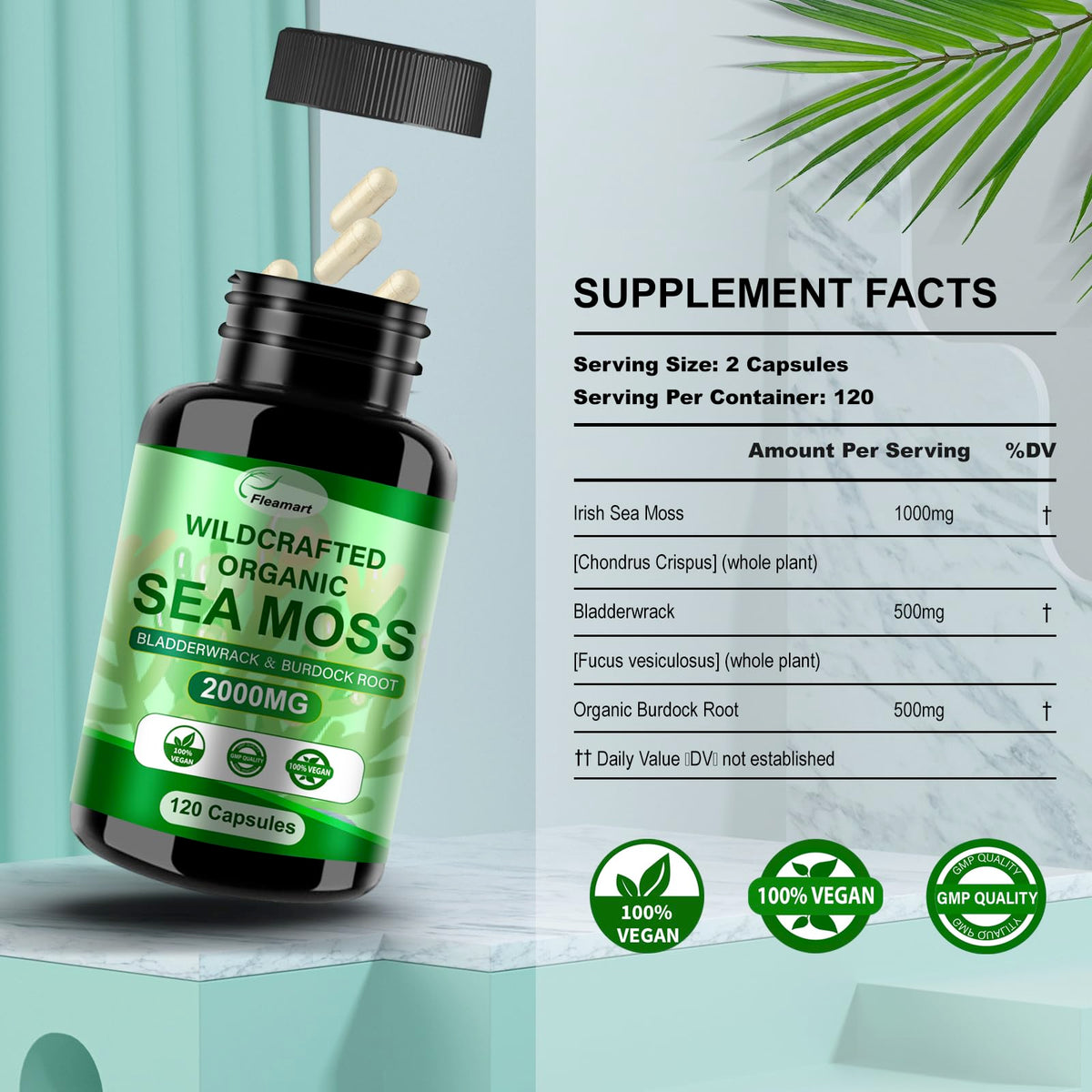 Mousse de mer Fleamart, capsules sur une surface en bois
