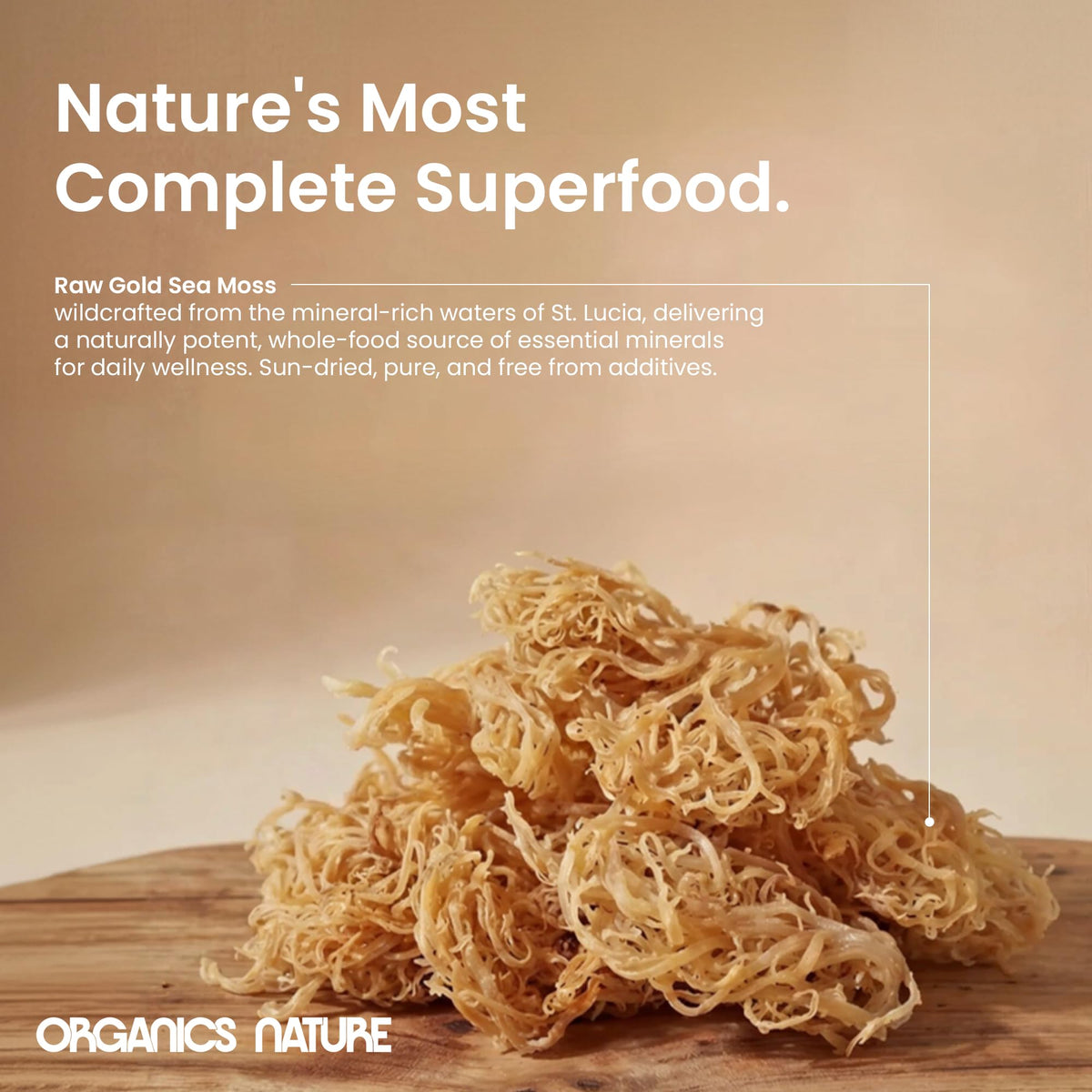 Mousse de mer ORGANICS NATURE dans une recette de smoothie
