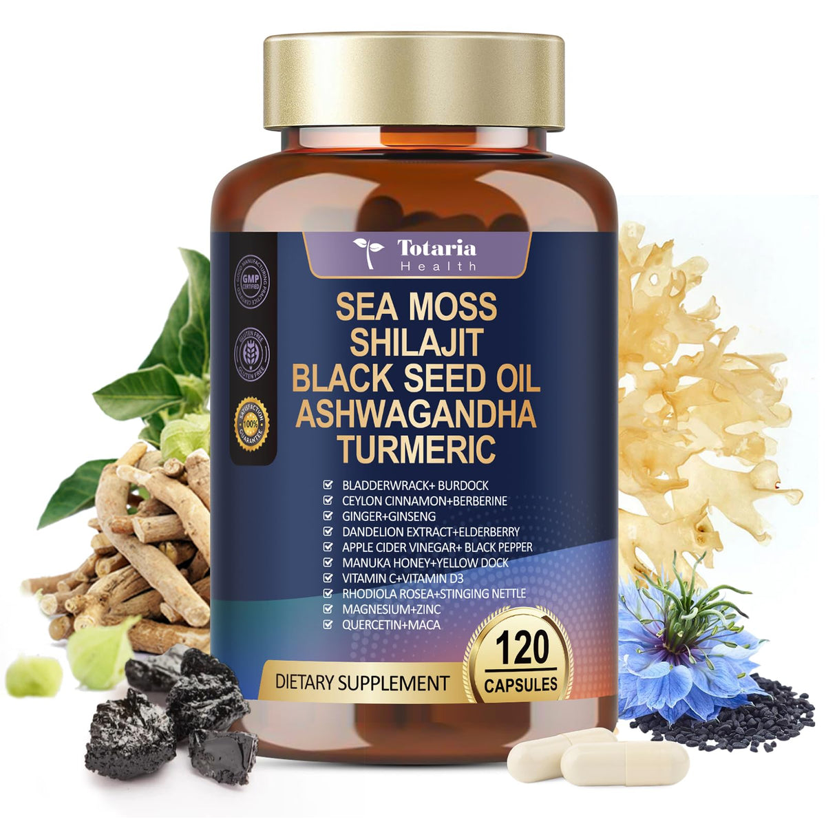 Mousse de mer Totaria, vue des capsules individuelles