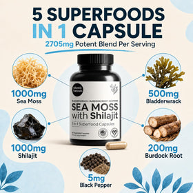 Mousse irlandaise et shilajit dans des capsules Atlantic Naturals
