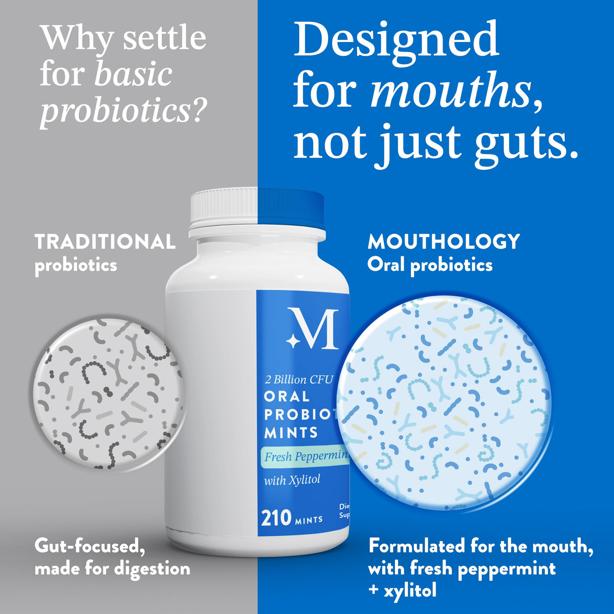 Mouthology Probiotiques Menthes, menthes en gros plan