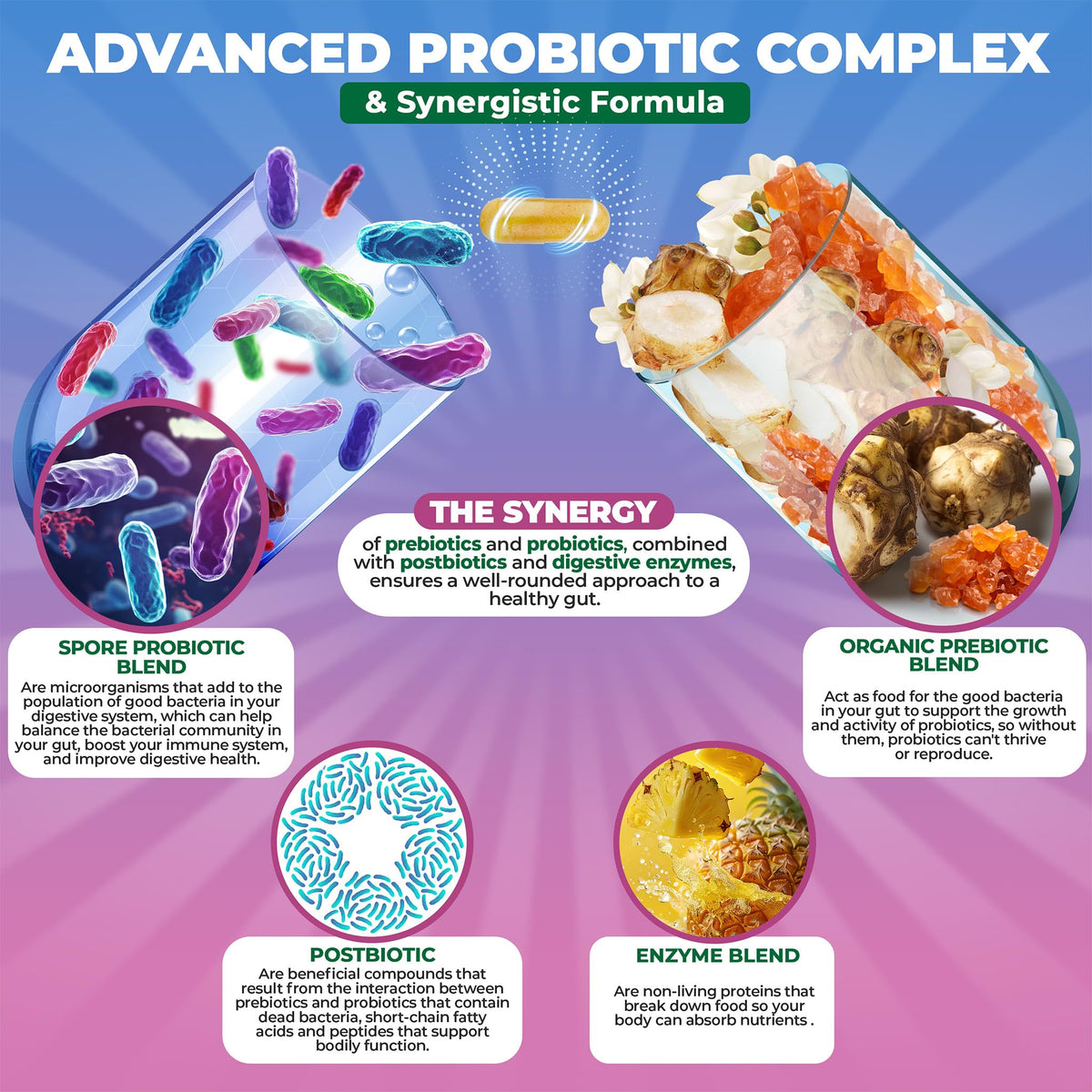 MoxyVites Complex Probiotique Spore 240g capsules