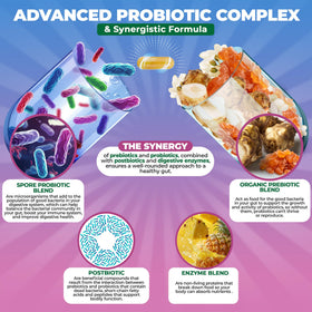MoxyVites Complex Probiotique Spore 240g capsules