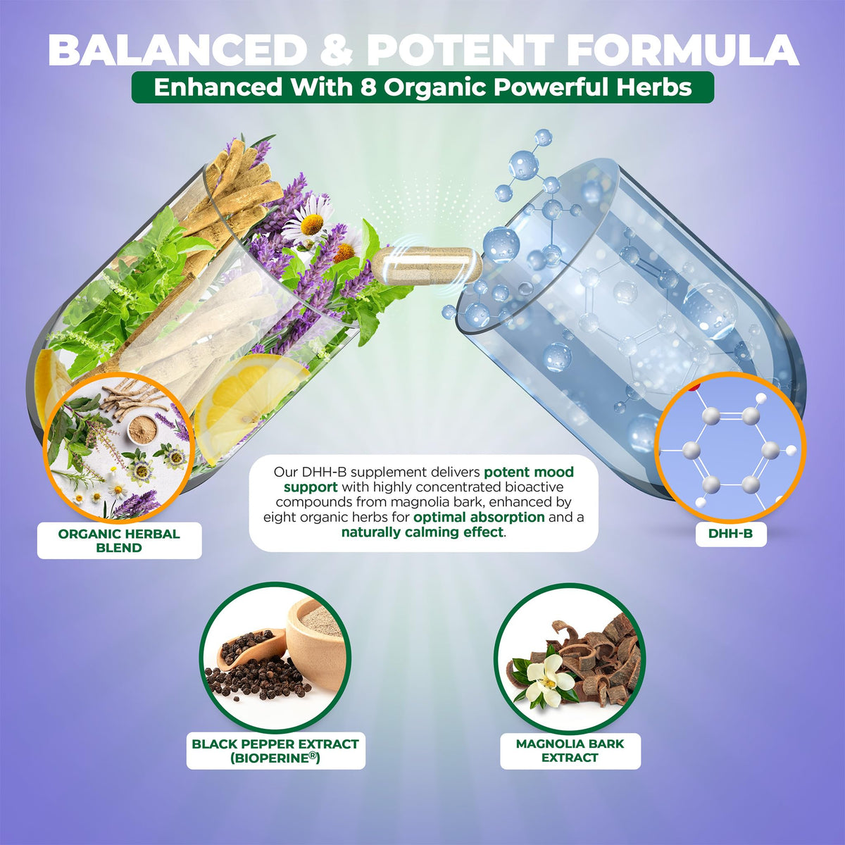 MoxyVites DHH-B boîte avec des herbes biologiques en arrière-plan