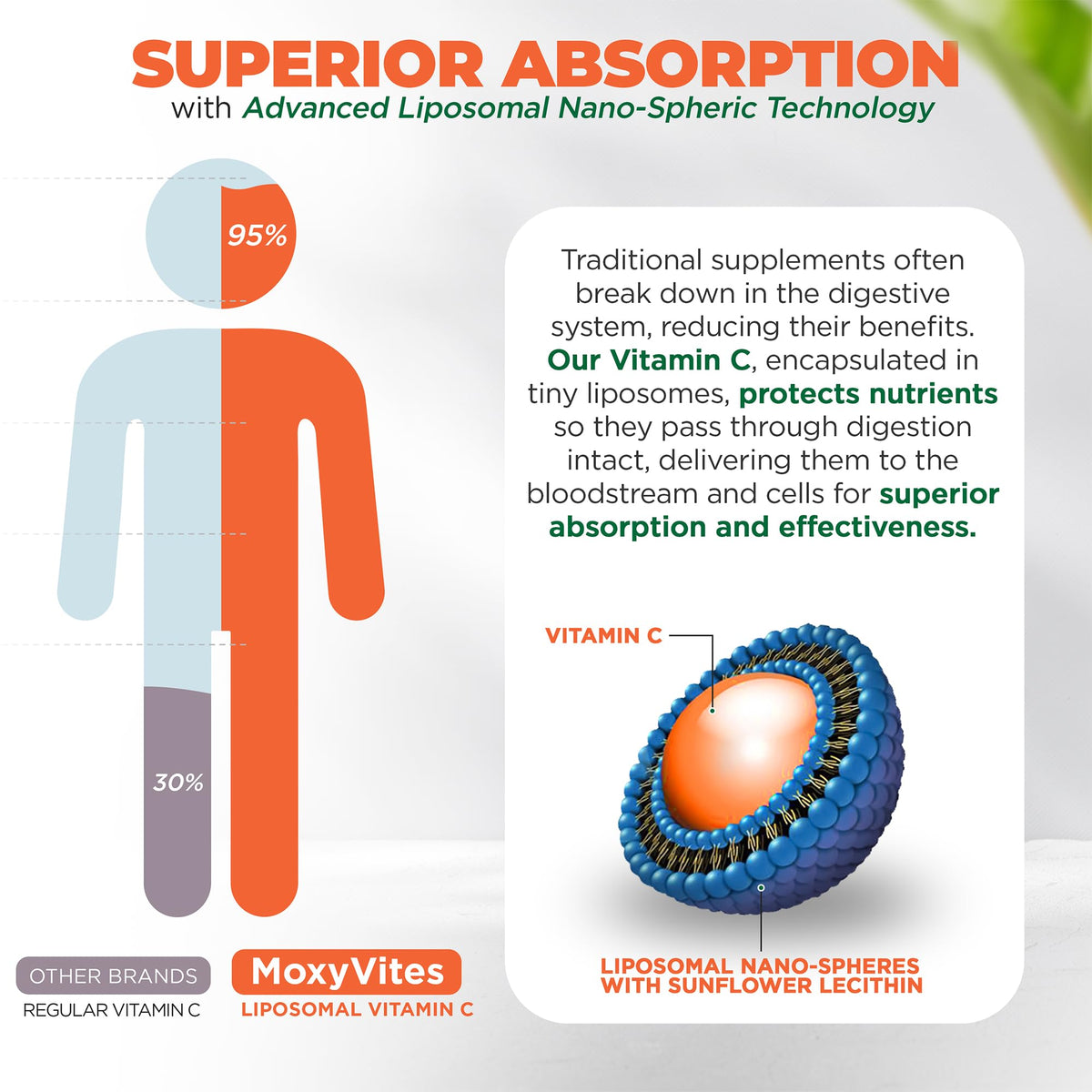 MoxyVites Vitamine C Liposomale avec ingrédients naturels