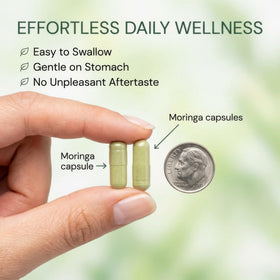 MPRAYAN Capsules de Moringa 1600mg - Flacon avec des capsules à côté