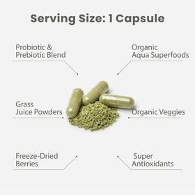 Multivitamine Paradise Herbs 120 capsules à côté d'autres compléments