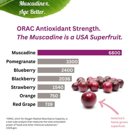 MUSCADINEX Complément Muscadine Capsules ouvertes montrant le contenu