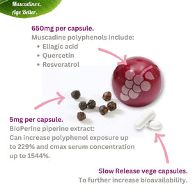 MUSCADINEX Complément Muscadine Capsules sur fond blanc