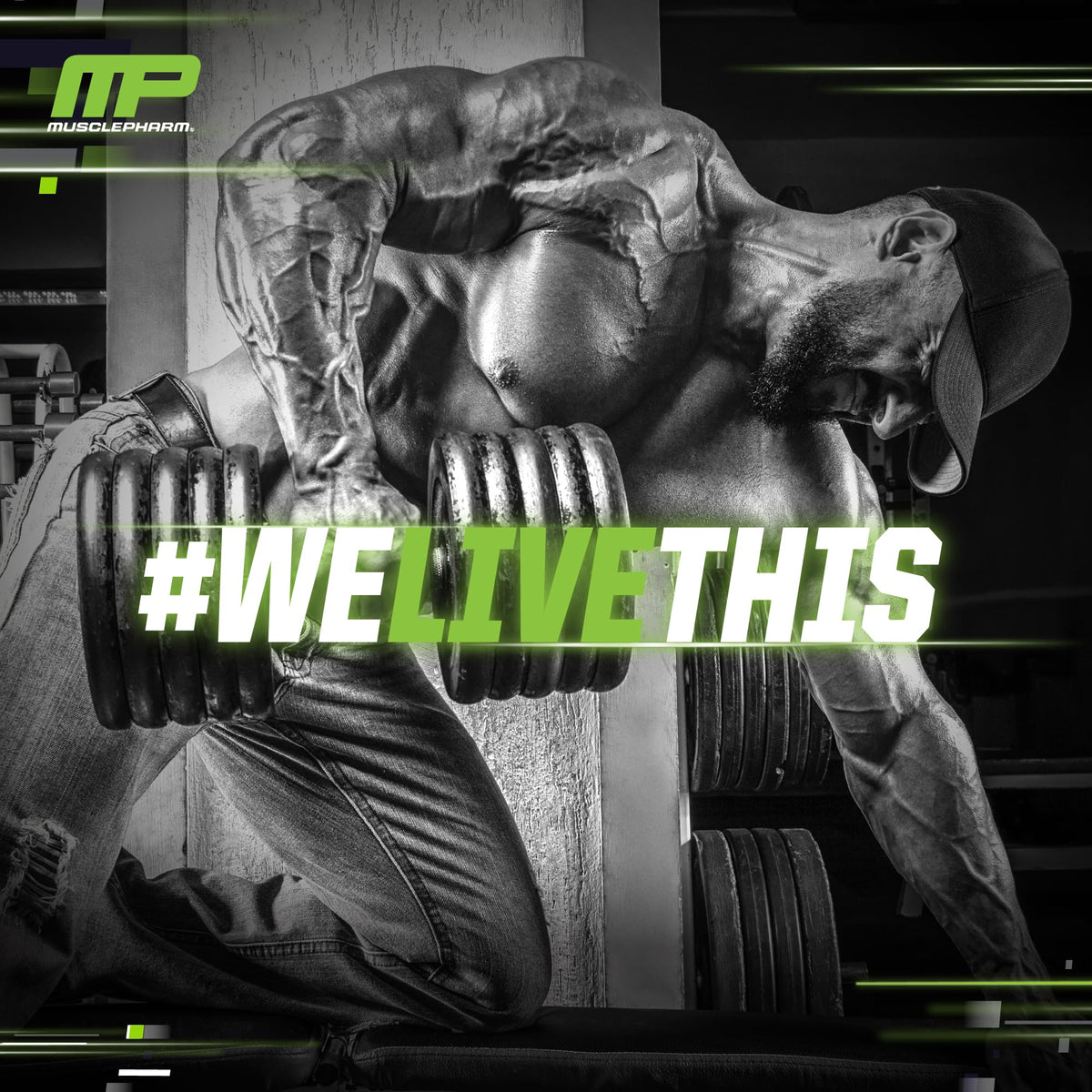 Muscle Pharm Créatine Monohydrate Hydratation - poudre de créatine en gros plan