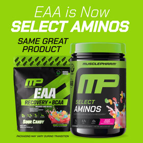 Muscle Pharm EAA BCAA 372g vue arrière avec informations nutritionnelles