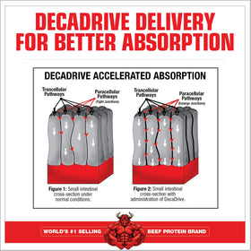 MuscleMeds Amino Decanate 384g avec une cuillère doseuse à côté