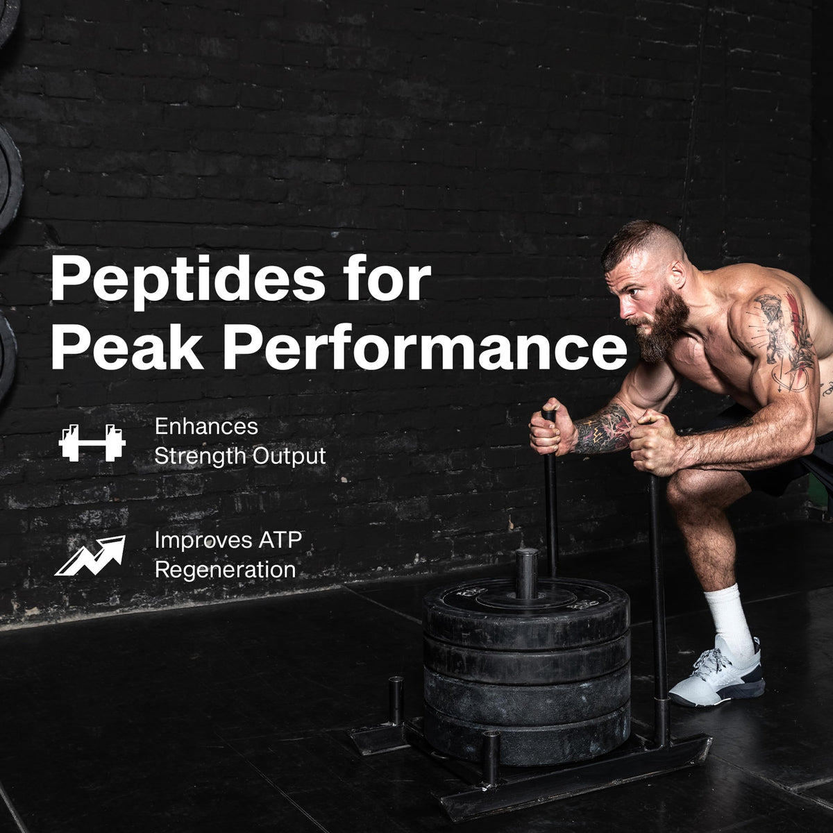 MuscleTech Poudre de Créatine Peptide 3000mg - vue de côté