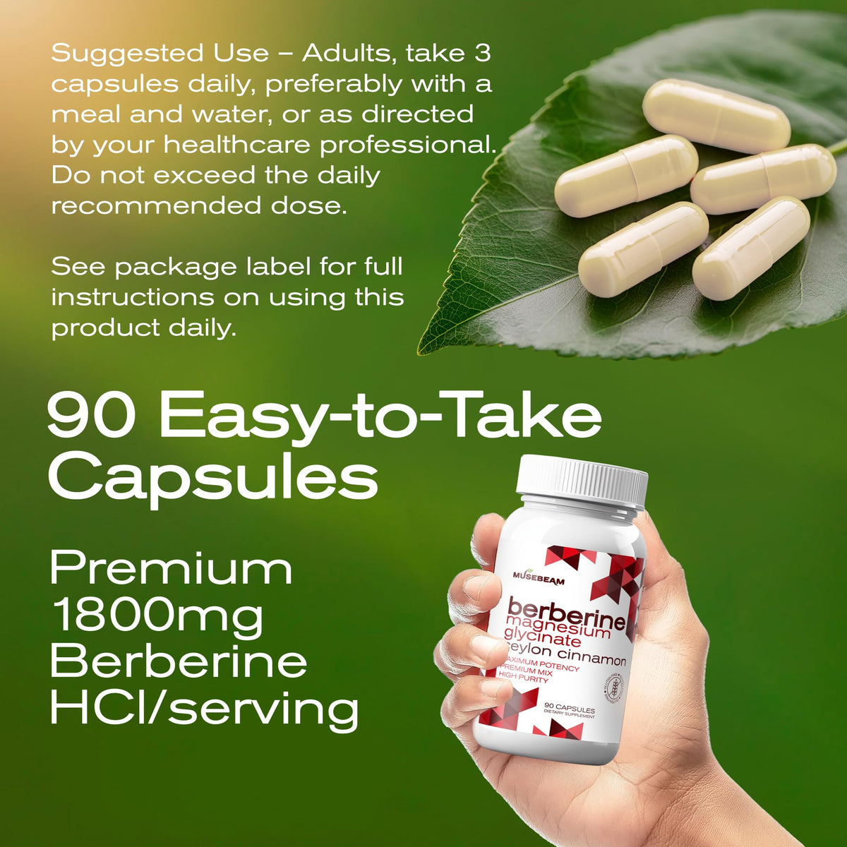 musebeam Complément Alimentaire Berbérine HCl 1800mg 90 Capsules ouvertes