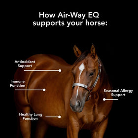 MVP Air-Way EQ granulés dans un bol pour chevaux