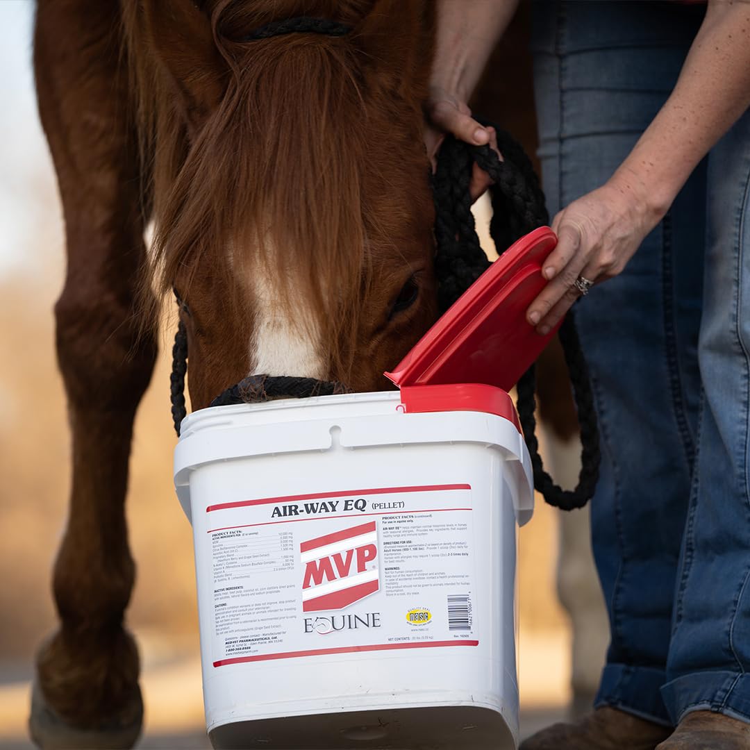 MVP Air-Way EQ granulés pour chevaux en portion