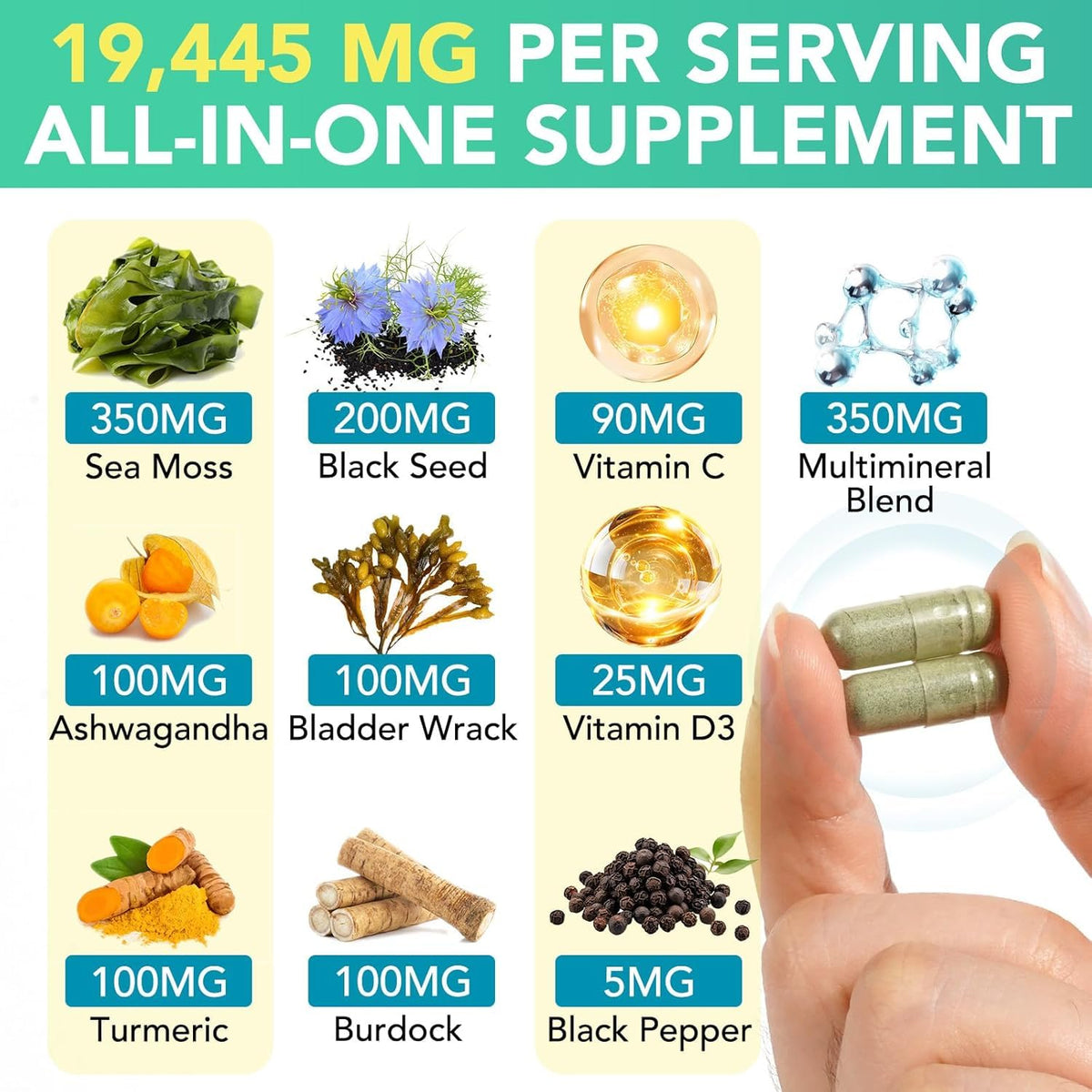MXCZBSM Complément Alimentaire Algues Maritimes 60 Capsules vue arrière
