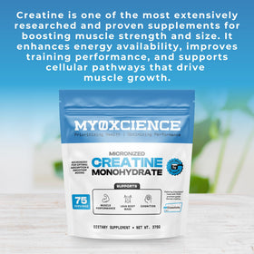 MYOXCIENCE Creavitalis Créatine Micronisée 390g mesure de 5g