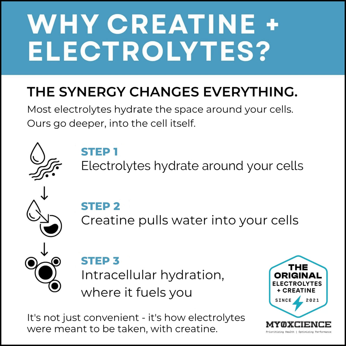 MYOXCIENCE Electrolyte STIX stick-pack avec poudre à boire visible