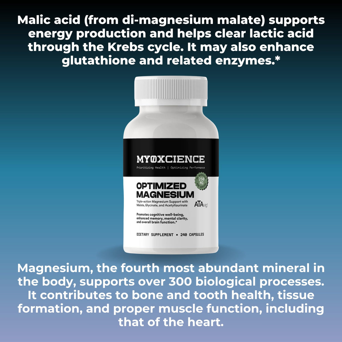 MYOXCIENCE Magnésium Glycinate + Taurate 80 Servings 265g with measuring spoon