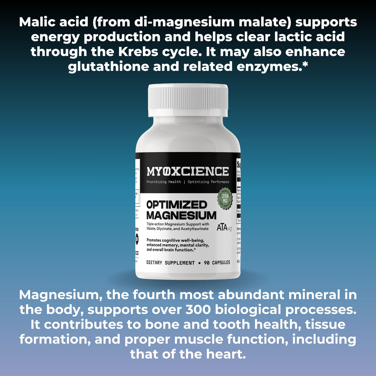 MYOXCIENCE Magnésium Glycinate + Taurate capsules dans une main