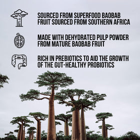 NAKED Poudre de Baobab Bio 381g emballage arrière
