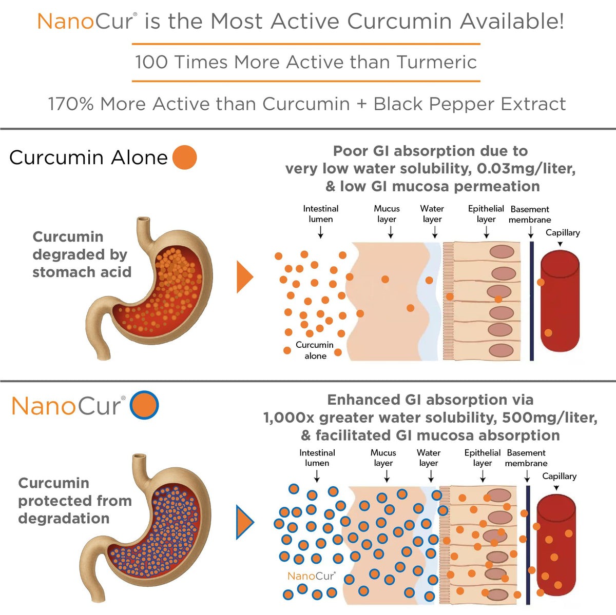 Nanocur Curcuma capsules ouvertes montrant la poudre