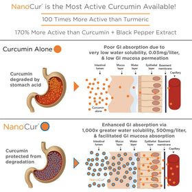 Nanocur Curcuma capsules ouvertes montrant la poudre
