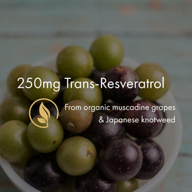 NAOMI Resvératrol Bio 250mg gélules ouvertes montrant leur contenu