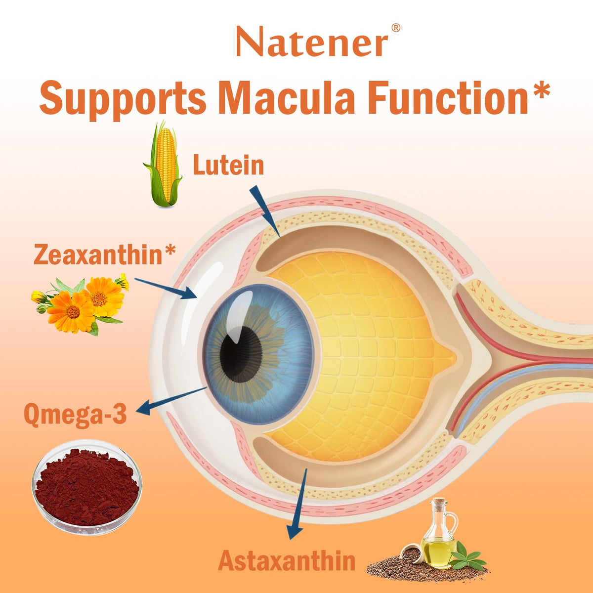Natener Complément Alimentaire 14 en 1 pour les Yeux, présentation des capsules