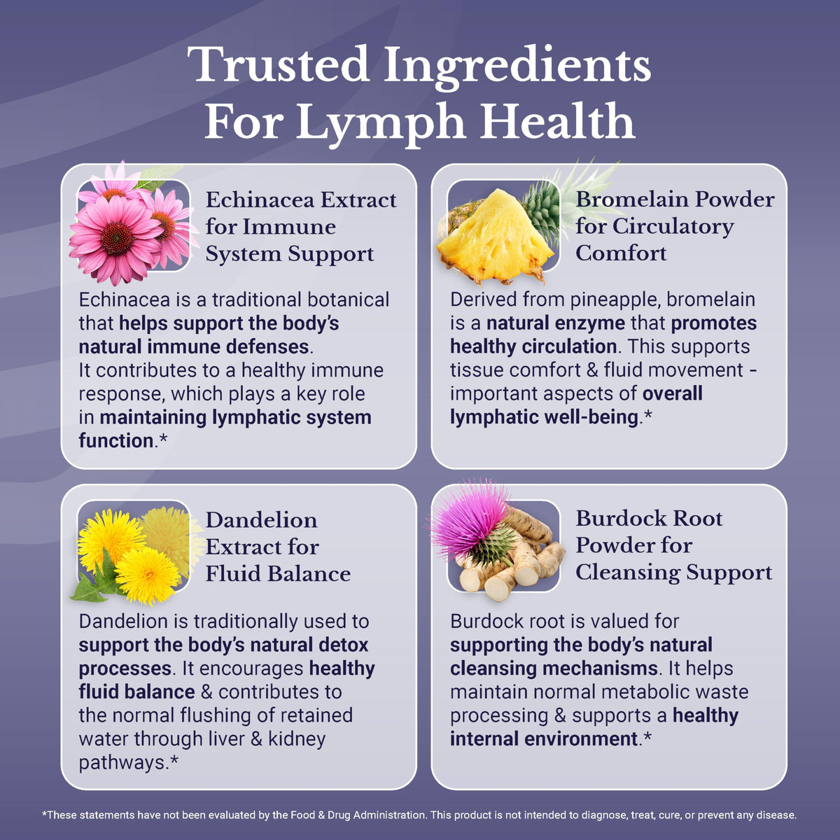 NATION HEALTH MD Lymph MD flacon ouvert avec capsules