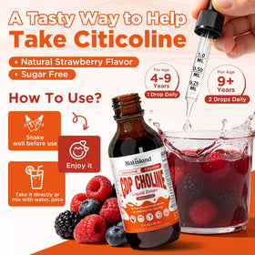 NATISLAND Citicoline gouttes avec algue et champignon Lion's Mane