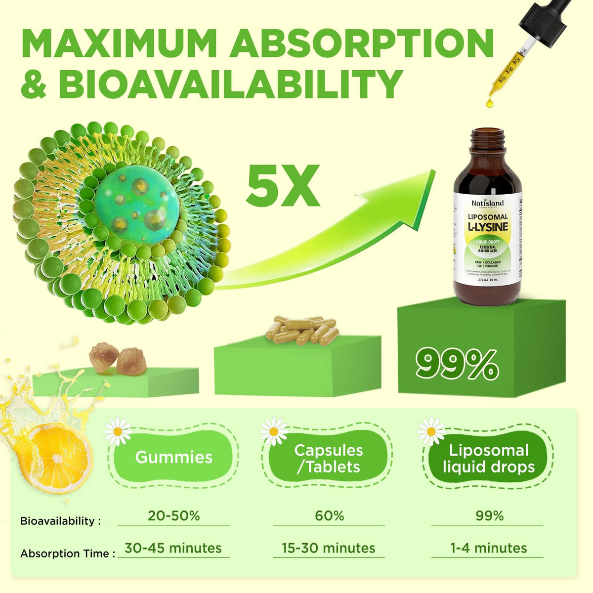 NATISLAND Gouttes L-Lysine Monolaurine 1000mg en verre avec pipette