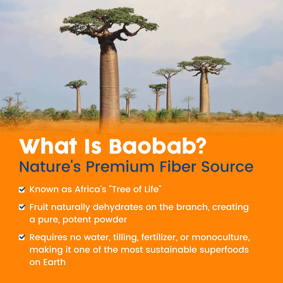 NativePath Baobab Prébiotique vue de côté de l'emballage